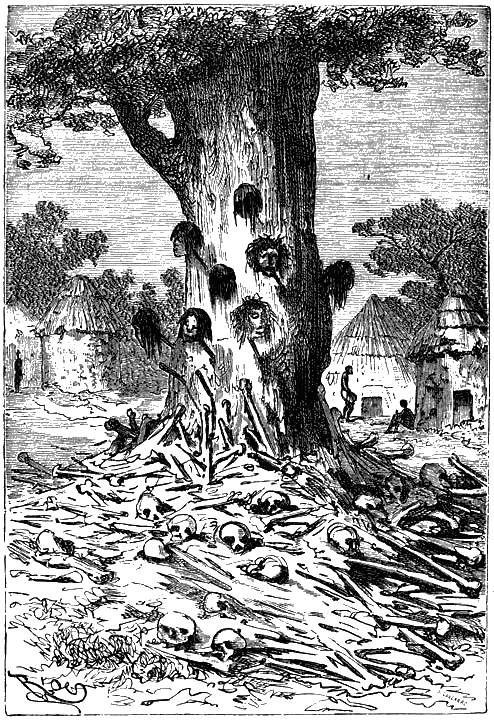 Пять недель на воздушном шаре p113.png