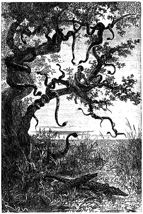 Пять недель на воздушном шаре p197.png