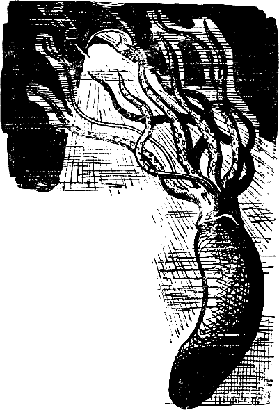 Шесть спичек i_009.png