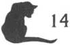 Cat Spitting Mad pic_15.jpg