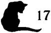 Cat Spitting Mad pic_18.jpg