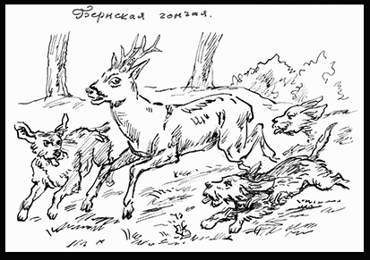 Собаки! i_077.png
