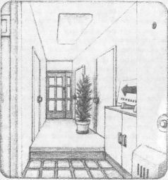 Кокология 2 pic_13.jpg
