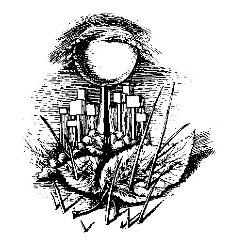 Разорванная цепь (сборник) pic_1.png