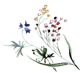 Байкала-озера сказки Том I  разд.3 i_007.png