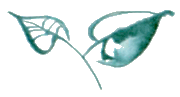 Байкала-озера сказки Том I  разд.3 i_008.png