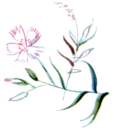 Байкала-озера сказки Том I  разд.3 i_019.png