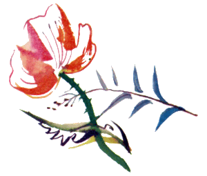 Байкала-озера сказки Том I  разд.3 i_048.png