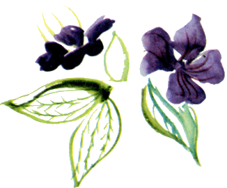 Байкала-озера сказки Том I  разд.3 i_050.png