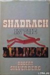 Shadrach in the Furnace