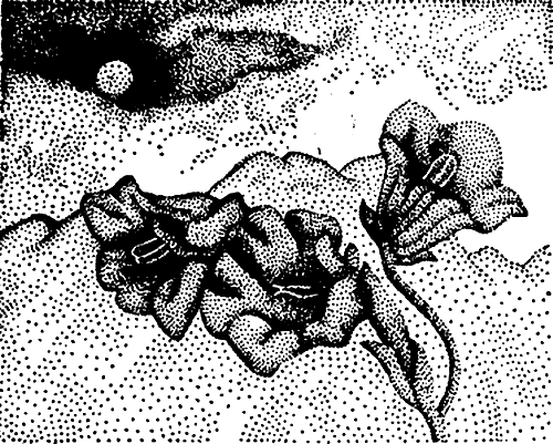 Милые роботы (сборник) i_002.png