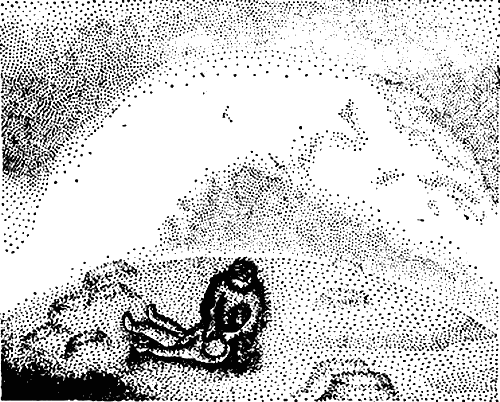 Милые роботы (сборник) i_011.png