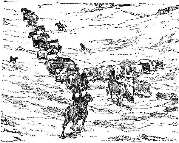 Основы дрессировки служебных собак i_033.png