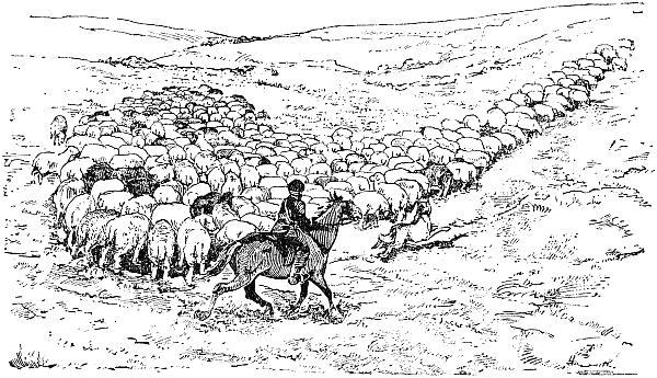 Основы дрессировки служебных собак i_037.png