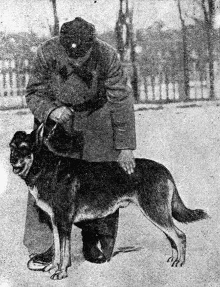 Основы дрессировки служебных собак i_006.jpg