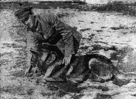 Основы дрессировки служебных собак i_011.jpg