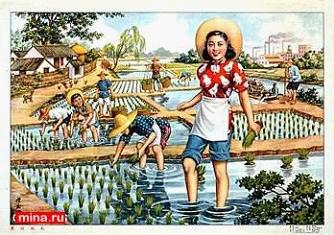 Страна великого дракона, или Командировка в Китай _15.jpg