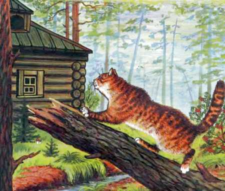 Кот и лиса i_004.jpg