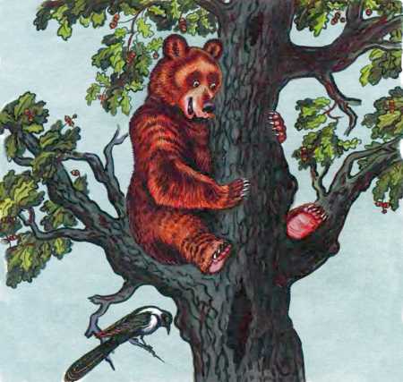 Кот и лиса i_013.jpg
