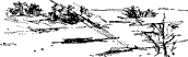 Рябина, ягода горькая i_006.png