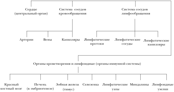 Ветеринарный справочник для владельцев собак _25.png