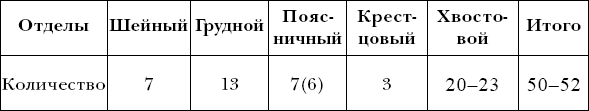 Ветеринарный справочник для владельцев собак _06.png