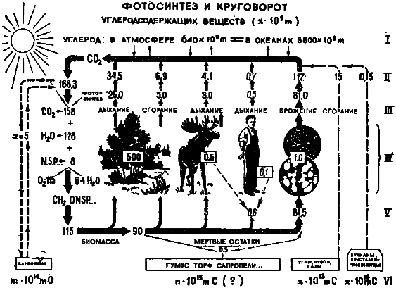 Эволюция биосферы i_023.png