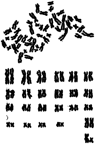 Эволюция биосферы i_025.png