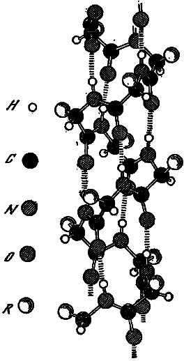 Эволюция биосферы i_029.png