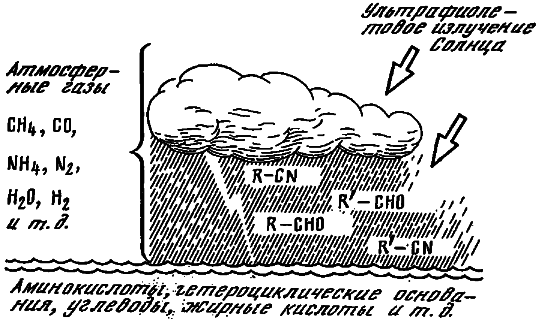 Эволюция биосферы i_001.png