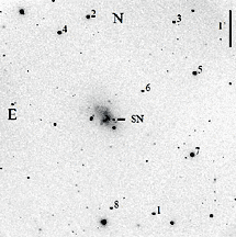 Газета Троицкий Вариант  45 (19_01_2010) TAGhttp___grani_ru_files_50609_gif_126380406353407