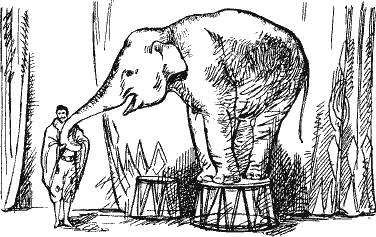 Мои звери i_005.png