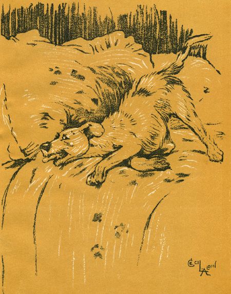 Бобкин день i_006.jpg