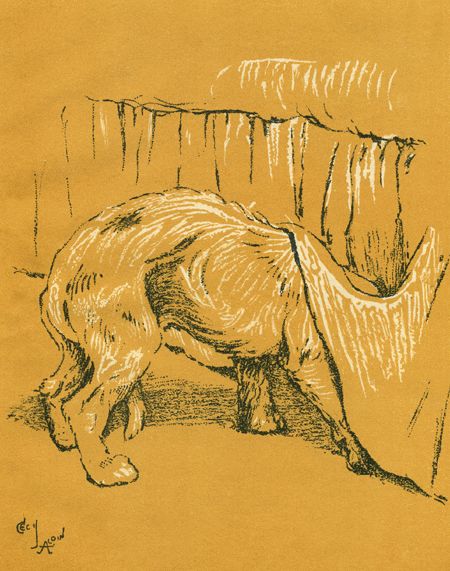 Бобкин день i_008.jpg