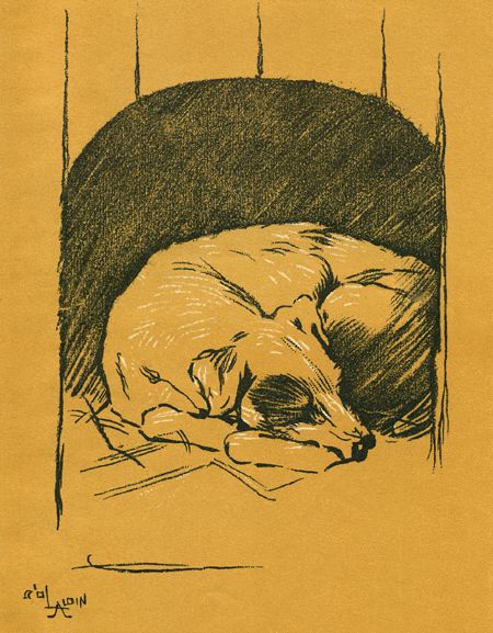 Бобкин день i_014.jpg