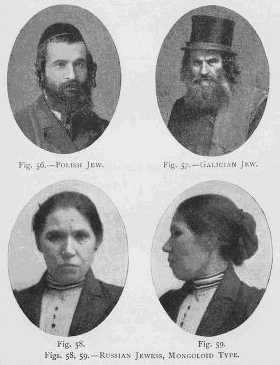 Евреи: исследование расы и окружающей среды (избранные главы) i_034.jpg