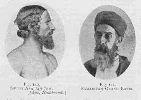 Евреи: исследование расы и окружающей среды (избранные главы) i_078.jpg