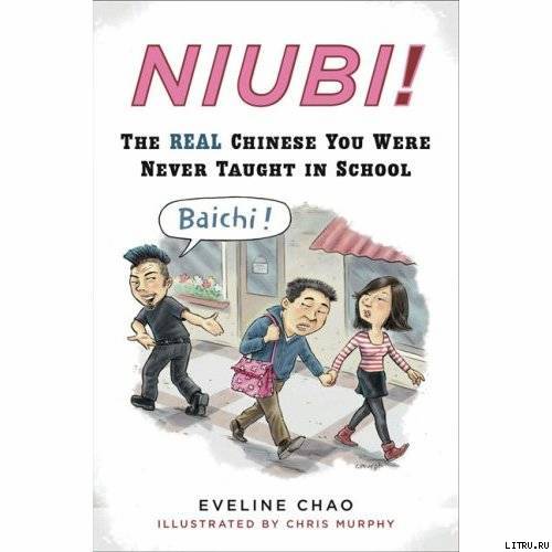Niubi! The Real Chinese You Were Never Taught in School pic_1.jpg