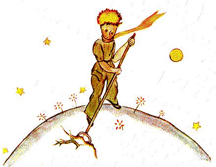 Le Petit Prince pic_15.jpg