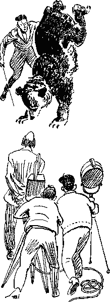 Забракованный мишка Untitled2.png