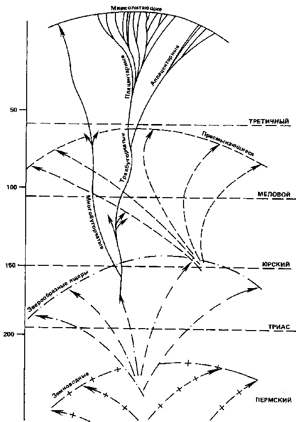 Феномен человека i_001.png