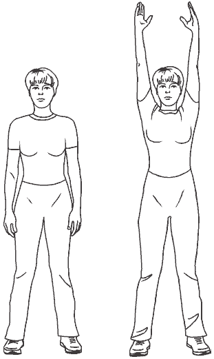 Суперфитнес. Лучшие программы мира i_195.png