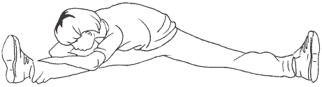 Суперфитнес. Лучшие программы мира i_237.png