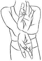 Суперфитнес. Лучшие программы мира i_292.png