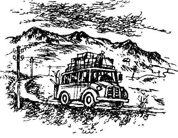 Каос и Бьёрнар. Олауг и Пончик (с илл.) i_002.png