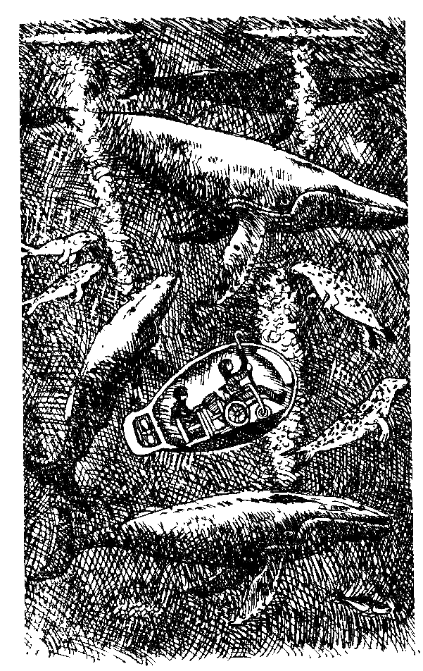 Каос и Бьёрнар. Олауг и Пончик (с илл.) i_032.png