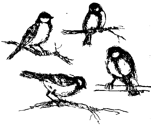 Каос и Бьёрнар. Олауг и Пончик (с илл.) i_048.png