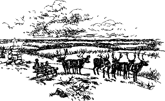 Каос и Бьёрнар. Олауг и Пончик (с илл.) i_054.png