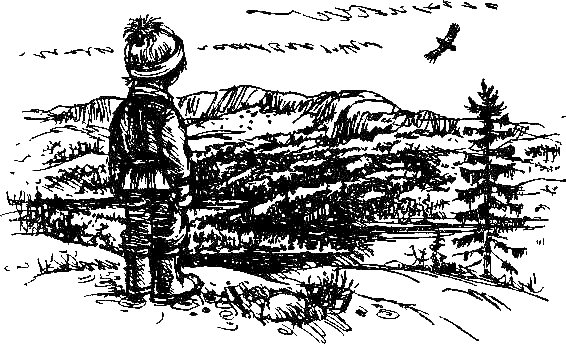 Каос и Бьёрнар. Олауг и Пончик (с илл.) i_060.png