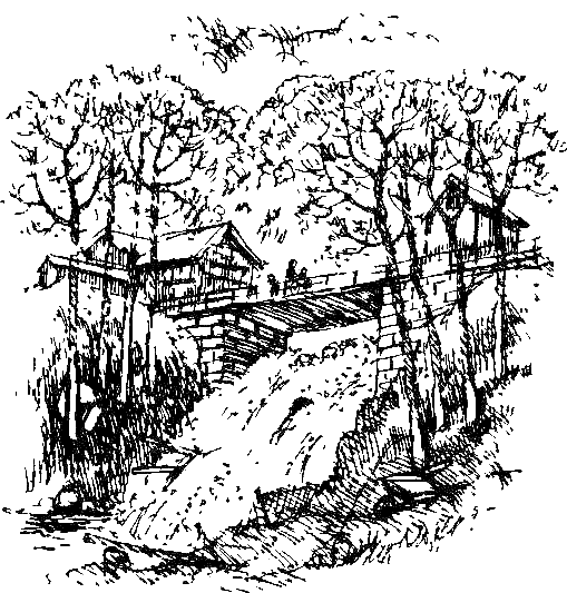Каос и Бьёрнар. Олауг и Пончик (с илл.) i_064.png